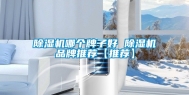 除湿机哪个牌子好 除湿机品牌推荐【推荐】