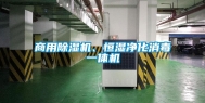商用除湿机、恒湿净化消毒一体机