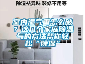 企业新闻室内湿气重怎么破？这几个家庭除湿气的方法帮你轻松“除湿”