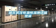 湖北武汉恒温恒湿测试箱现货