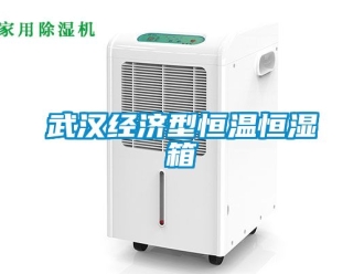 知识百科武汉经济型恒温恒湿箱