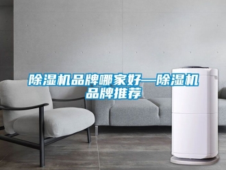 企业新闻除湿机品牌哪家好—除湿机品牌推荐