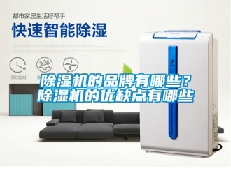 企业新闻除湿机的品牌有哪些？除湿机的优缺点有哪些