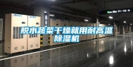 脱水蔬菜干燥就用耐高温除湿机