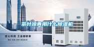 茶叶凉青用什么除湿机