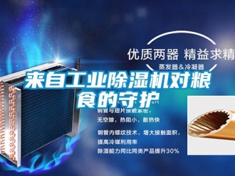 行业新闻来自工业除湿机对粮食的守护