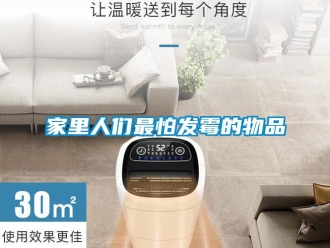 行业新闻家里人们最怕发霉的物品