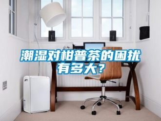 企业新闻潮湿对柑普茶的困扰有多大？