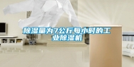 除湿量为7公斤每小时的工业除湿机