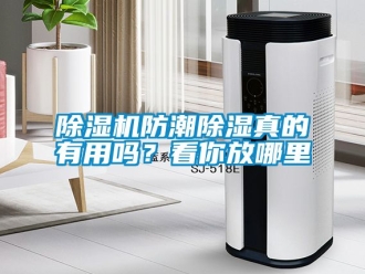 行业新闻除湿机防潮除湿真的有用吗？看你放哪里