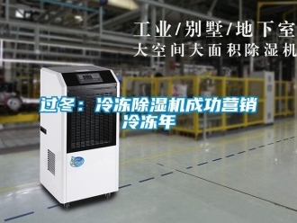 行业新闻过冬：冷冻除湿机成功营销冷冻年