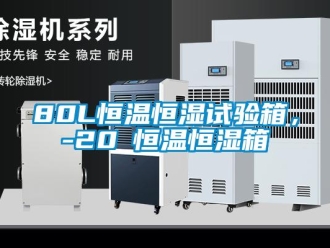常见问题80L恒温恒湿试验箱，-20℃恒温恒湿箱