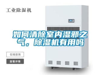 行业新闻如何清除室内湿邪之气，除湿机有用吗