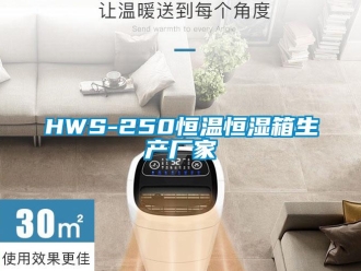 常见问题HWS-250恒温恒湿箱生产厂家