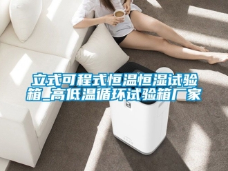 知识百科立式可程式恒温恒湿试验箱_高低温循环试验箱厂家