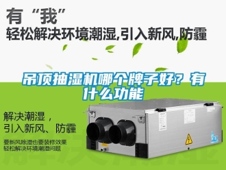 企业新闻吊顶抽湿机哪个牌子好？有什么功能