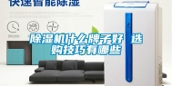 除湿机什么牌子好 选购技巧有哪些