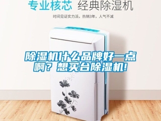 企业新闻除湿机什么品牌好一点啊？想买台除湿机!