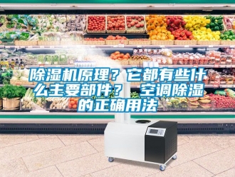 行业新闻除湿机原理？它都有些什么主要部件？ 空调除湿的正确用法