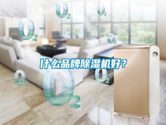 知识百科什么品牌除湿机好？