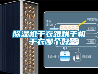 企业新闻除湿机干衣跟烘干机干衣哪个好