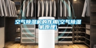 空气除湿机的作用(空气除湿机原理)