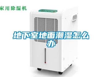 企业新闻地下室地面潮湿怎么办