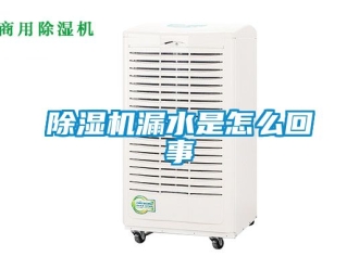 行业新闻除湿机漏水是怎么回事