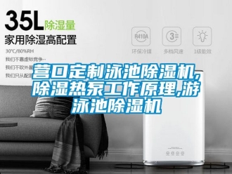 行业新闻营口定制泳池除湿机,除湿热泵工作原理,游泳池除湿机