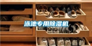 泳池专用除湿机