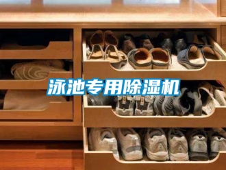 行业新闻泳池专用除湿机