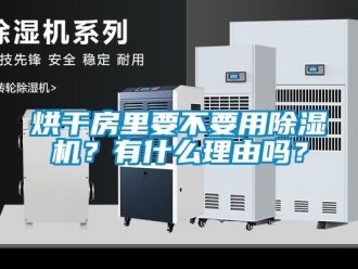 行业新闻烘干房里要不要用除湿机？有什么理由吗？