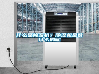 知识百科什么是除湿机？除湿机是做什么的呢