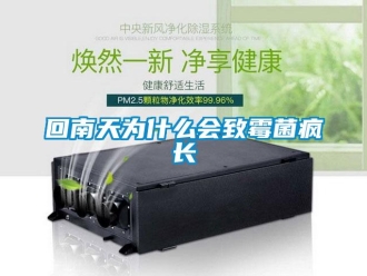 行业新闻回南天为什么会致霉菌疯长