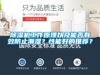 行业新闻除湿机工作原理以及能否有效防止潮湿？性能好的推荐？