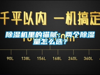 常见问题除湿机里的猫腻：两个除湿量怎么选？