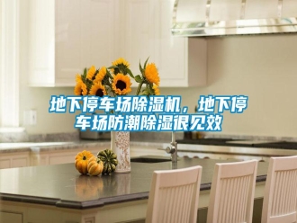企业新闻地下停车场除湿机，地下停车场防潮除湿很见效
