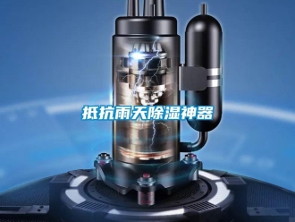 企业新闻抵抗雨天除湿神器