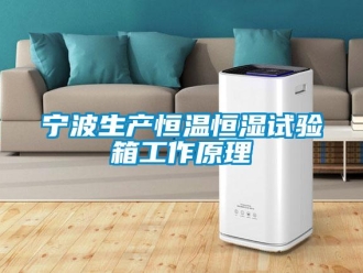 知识百科宁波生产恒温恒湿试验箱工作原理