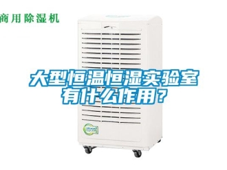 知识百科大型恒温恒湿实验室有什么作用？