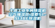 十堰工业车间除湿机空气抽湿器,湿菱SL-9138E除湿机