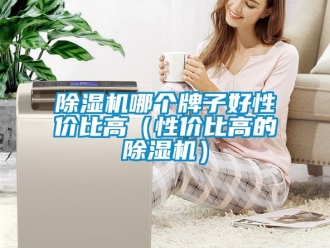 行业新闻除湿机哪个牌子好性价比高（性价比高的除湿机）