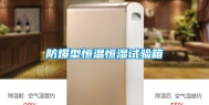 防爆型恒温恒湿试验箱