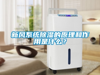行业新闻新风系统除湿的原理和作用是什么？