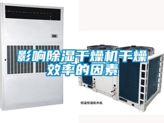 行业新闻影响除湿干燥机干燥效率的因素