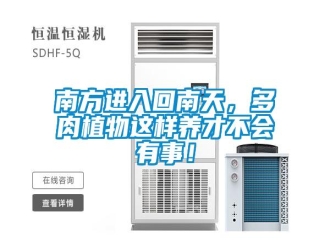 行业新闻南方进入回南天，多肉植物这样养才不会有事！