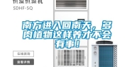南方进入回南天，多肉植物这样养才不会有事！