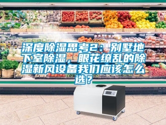 企业新闻深度除湿思考2：别墅地下室除湿，眼花缭乱的除湿新风设备我们应该怎么选？