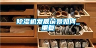 除湿机发展前景如何_重复