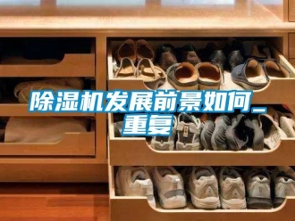 行业新闻除湿机发展前景如何_重复